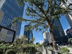 -天虹购物中心(石路店)