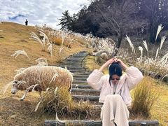 -神户市立六甲山牧场