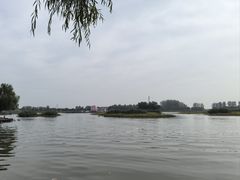 -白洋淀景区