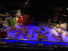 -广州花园酒店-凌璇阁360度高空海鲜自助餐CAROUSEL