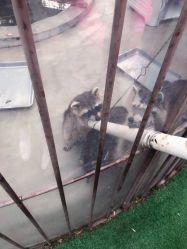 -萌宠亲子动物乐园(槐房万达店)