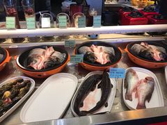 -大张烙馍村(泉山店)