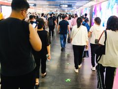 -大望路(地铁站)