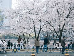 -西北湖绿化广场