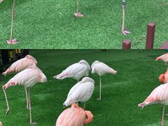 -上海野生动物园