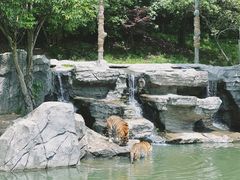 -宁波野生动物园