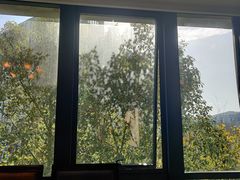-蓝山咖啡馆(白马湖店)
