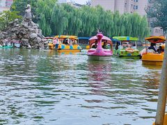 -团结湖公园