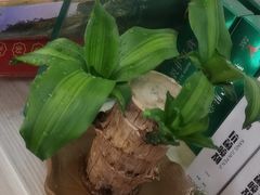 -郑远元专业修脚房(临沂路店)