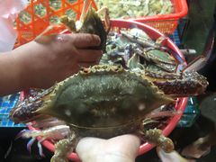 -无锡天鹏食品城