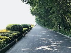-大湾区中央湿地公园