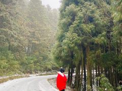 -武陵山森林公园