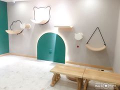 -飞行喵MR PILOT|猫舍·猫咖(静安大融城店)