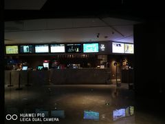 -星河寰宇IMAX影城(星河WORLD·COCO Park店)