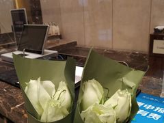 -郑州美盛喜来登大酒店