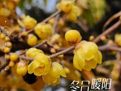 -四川大学(华西校区)