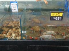 -闽海肴(北辰荟店)