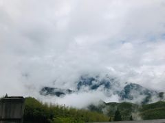 -江南天池
