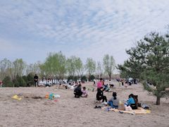 -东郊湿地公园