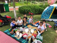 -上海长兴岛郊野公园