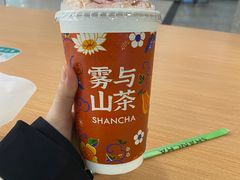 -雾与山茶(大禹城店)