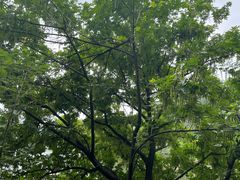 -古宇湖风景名胜区