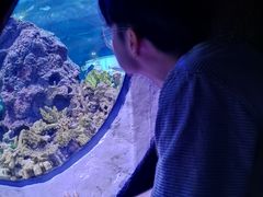 -成都浩海立方海洋公园