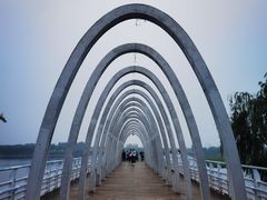 -大兴滨河森林公园