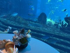 -OSSIANO奥西亚诺海底餐厅