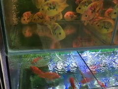 -大润发(花雨店)