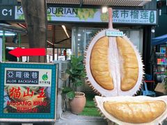 -都念榴莲·城市榴莲