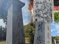 -中原大佛景区