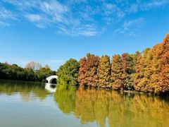 -上海海湾国家森林公园