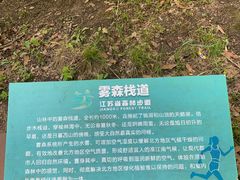-江苏三台山国家森林公园