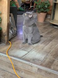 -青木造型HAIR·あおき髪を刈る潮人店