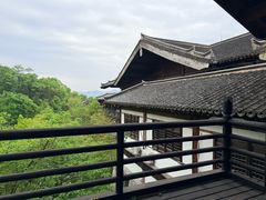 -大唐贡茶院