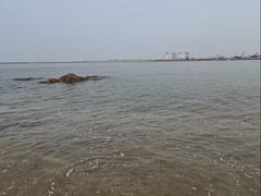 -仙人岛风景区