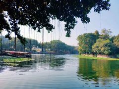 -西关竹园(荔枝湾店)