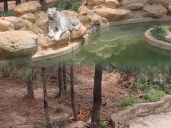 -云南野生动物园