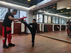 -温鉴良实用咏春拳