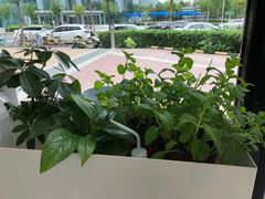 -卖呆儿咖啡(望京店)