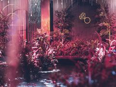 -艾拉私人定制婚礼