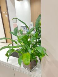 -幼泡泡连锁美容医疗