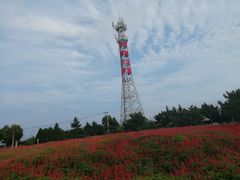 -羊亭河湿地公园