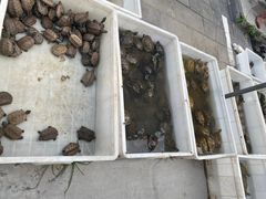 -华声天桥民俗文化园