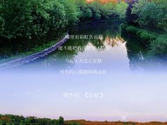 -塘沽森林公园