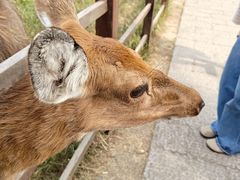 -良渚古城遗址公园