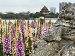-顺峰山公园