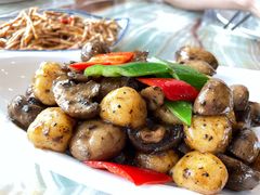 鱼丸烧有机菌-椿记烧鹅(叠彩店)