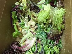 -Tubestation站点比萨(五道营店)